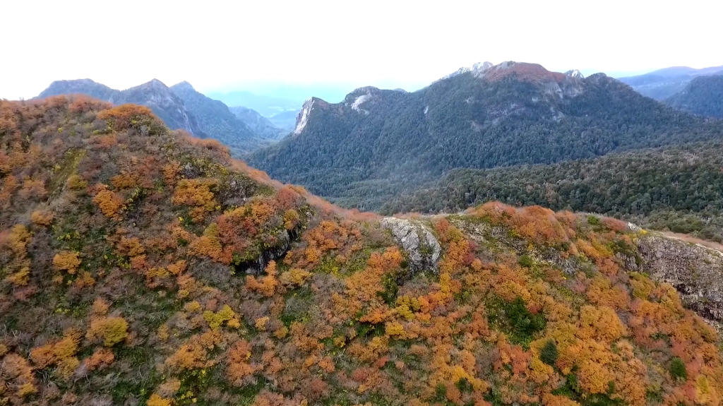 Villarrica National park