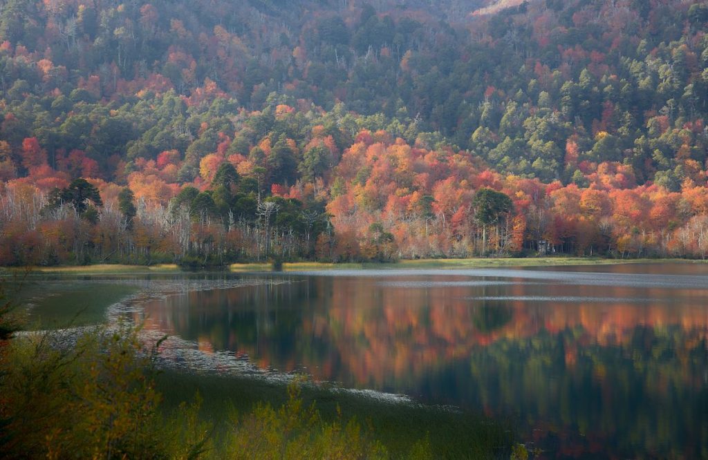 Villarrica National park
