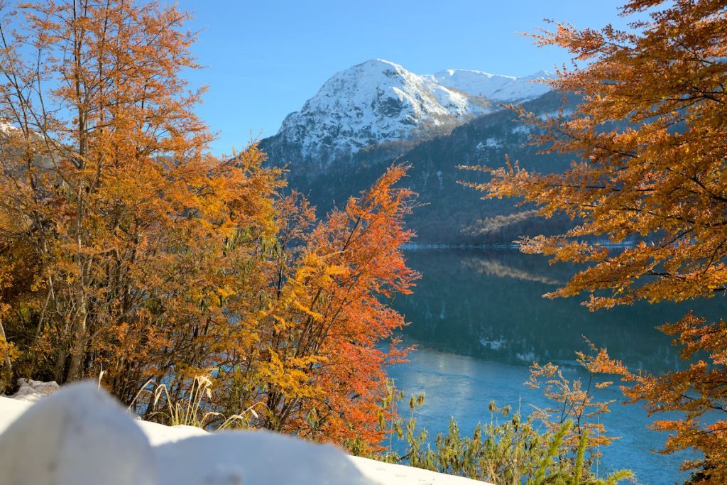 Villarrica National park