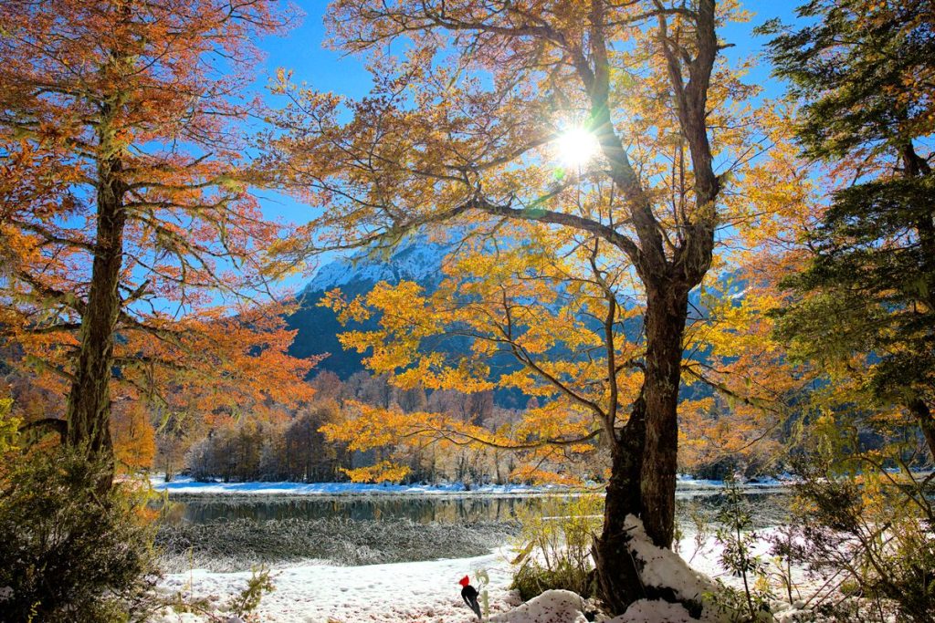 Villarrica National park