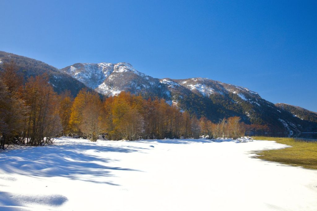 Villarrica National park