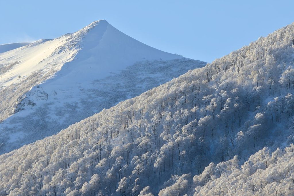 Ruta Icalma