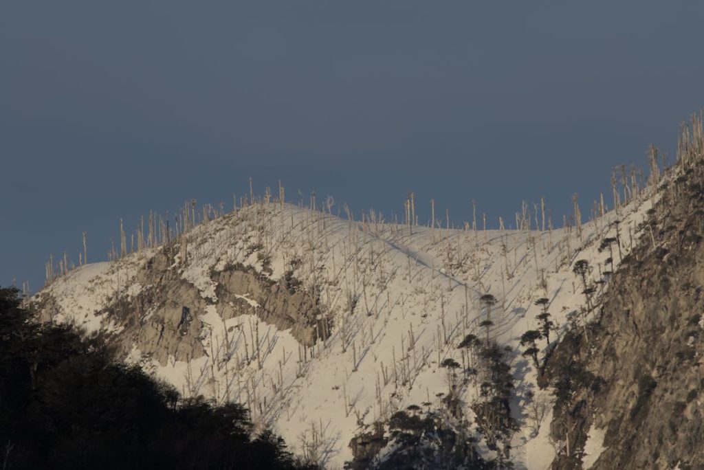 Parque Nacional Conguillio
